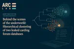 Behind the scenes of the underworld: Hierarchical clustering of two leaked carding forum databases