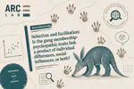 Selection and facilitation: Is the gang membership-psychopathic traits link a product of individual differences, social influences, or both?